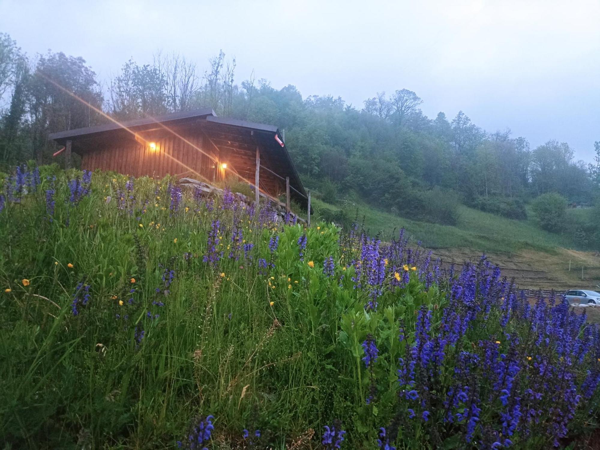 Agriturismo Cascina Cornella Cremeno エクステリア 写真